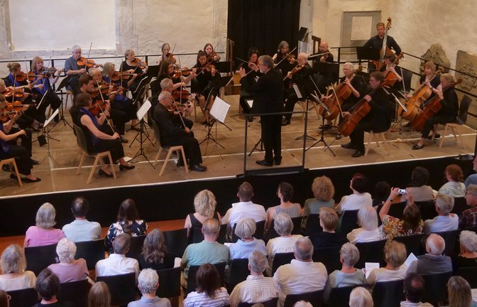 Das Kammerorchester Vaihingen und Köszeger Streicher musizieren am Sonntagabend gemeinsam unter neuen Leitung von Klaus Kulling in der Peterskirche.  <span class='image-autor'>Foto: Friedrich</span>