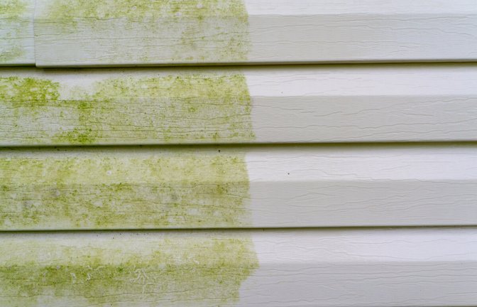 Grünbelag kann den Anblick im Garten ziemlich trüben. Hier zeigen wir Ihnen 6 Methoden, um Grünbelag zu entfernen.<span class='image-autor'>Foto: Indy Edge / Shutterstock.com</span>