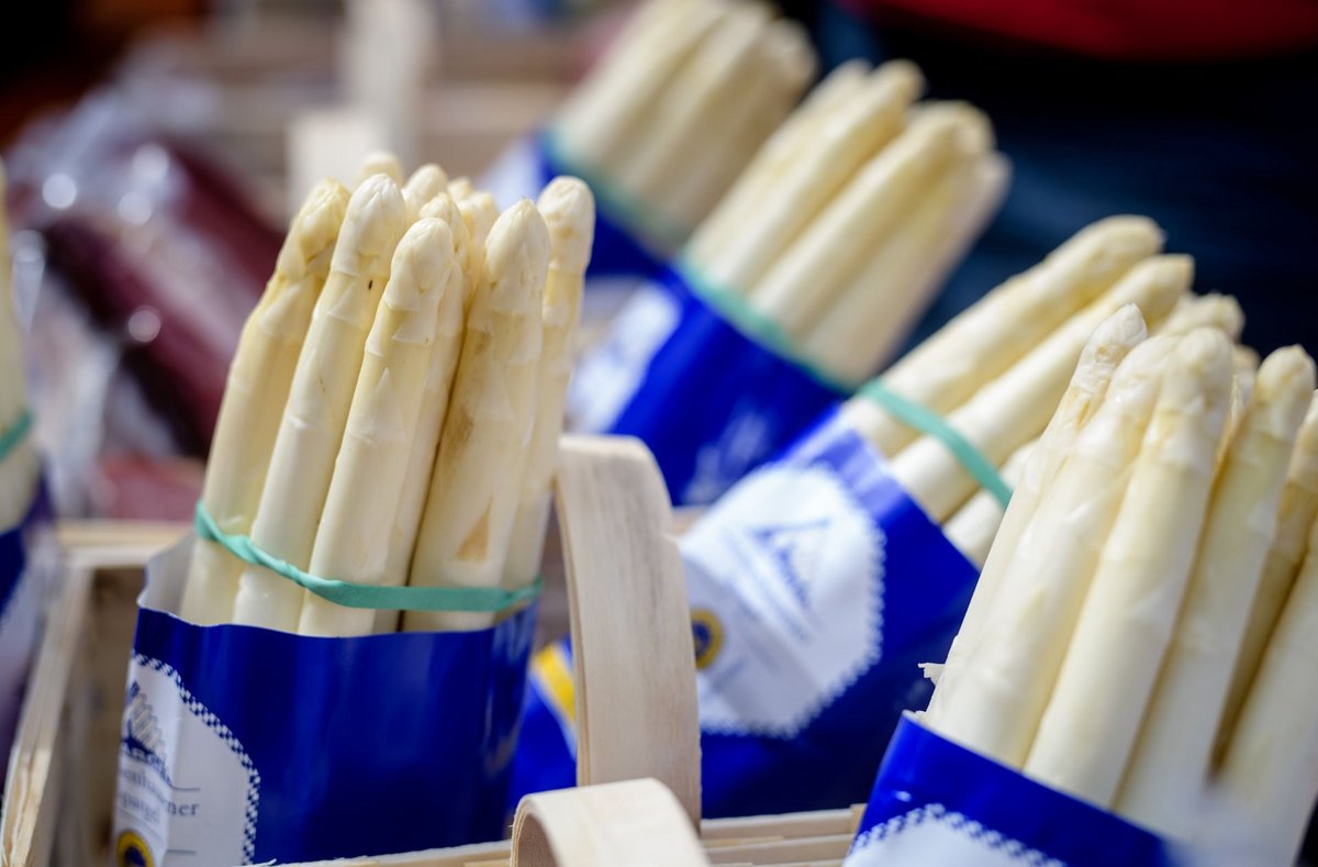Warum riecht der Urin nach Spargel?