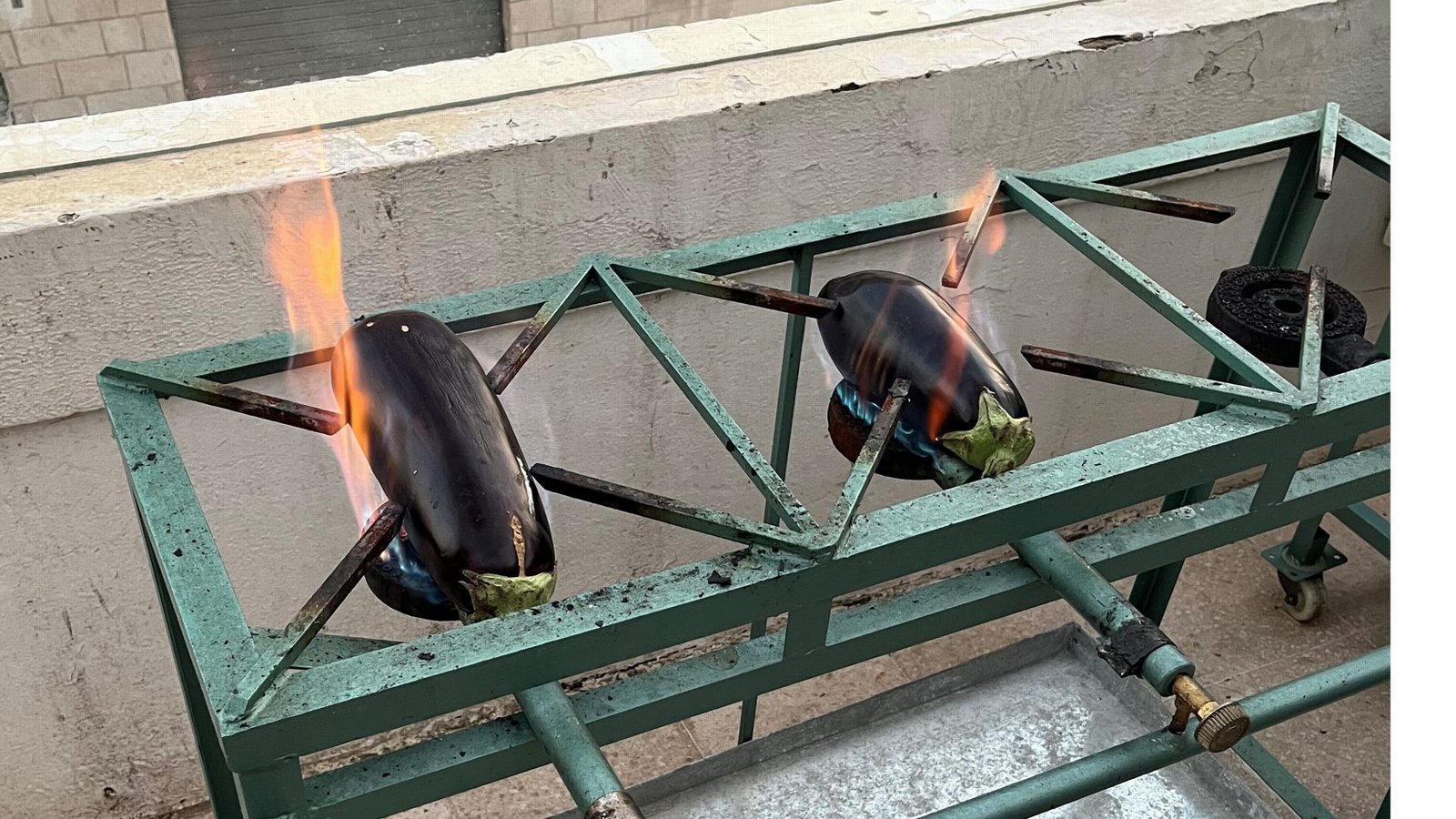 Die Auberginen müssen richtig brennen.Foto: Susanne Hamann