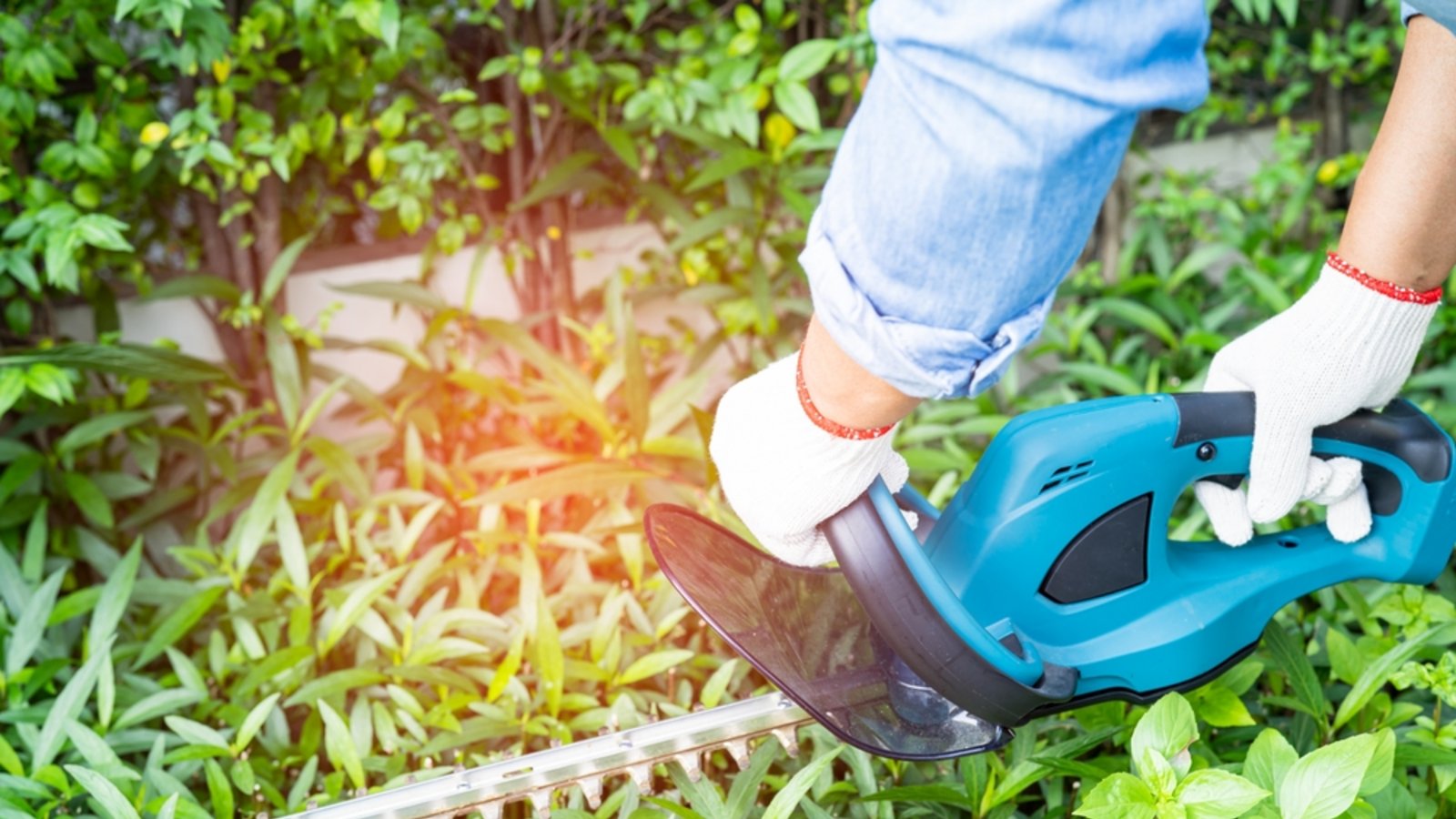 Sind solche Gartenarbeiten am 3. Oktober erlaubt?Foto: sasirin pamai / shutterstock.com Sind solche Gartenarbeiten am 3. Oktober erlaubt?Foto: sasirin pamai / shutterstock.com