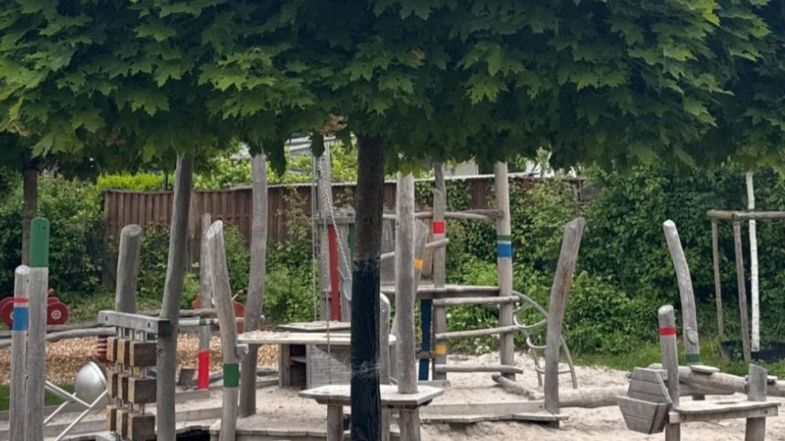 Die schwarze Wundfolie soll beim Baum in Mühlacker die Heilung befördern.