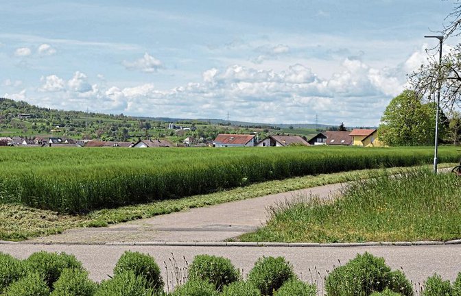Hier sollte vor über zehn Jahren ein Solarwohnpark entstehen. Die Pläne sollen nun noch einmal im Illinger Gemeinderat vorgestellt werden. Foto: Stahlfeld