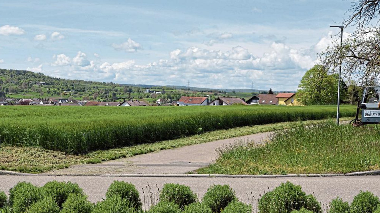 Hier sollte vor über zehn Jahren ein Solarwohnpark entstehen. Die Pläne sollen nun noch einmal im Illinger Gemeinderat vorgestellt werden. Foto: Stahlfeld Hier sollte vor über zehn Jahren ein Solarwohnpark entstehen. Die Pläne sollen nun noch einmal im Illinger Gemeinderat vorgestellt werden. Foto: Stahlfeld