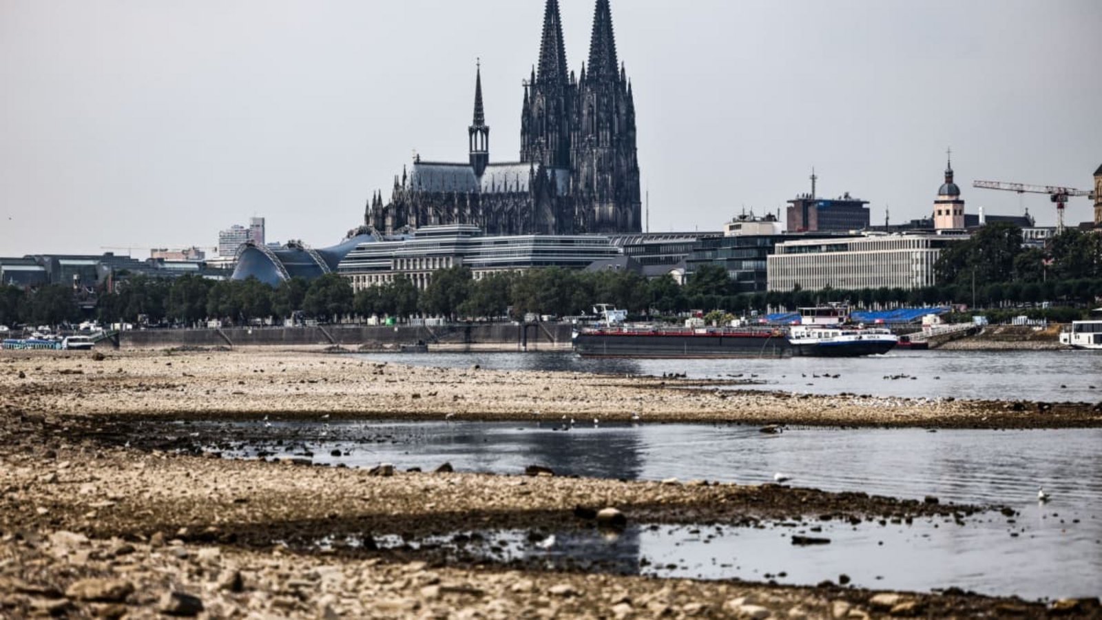Vor allem am Rhein, der wichtigsten Schifffahrtsroute Deutschlands, sind die Pegel niedrig. Was kann helfen, um den Transport aufrecht zu erhalten?Oliver Berg/dpa Vor allem am Rhein, der wichtigsten Schifffahrtsroute Deutschlands, sind die Pegel niedrig. Was kann helfen, um den Transport aufrecht zu erhalten?Oliver Berg/dpa