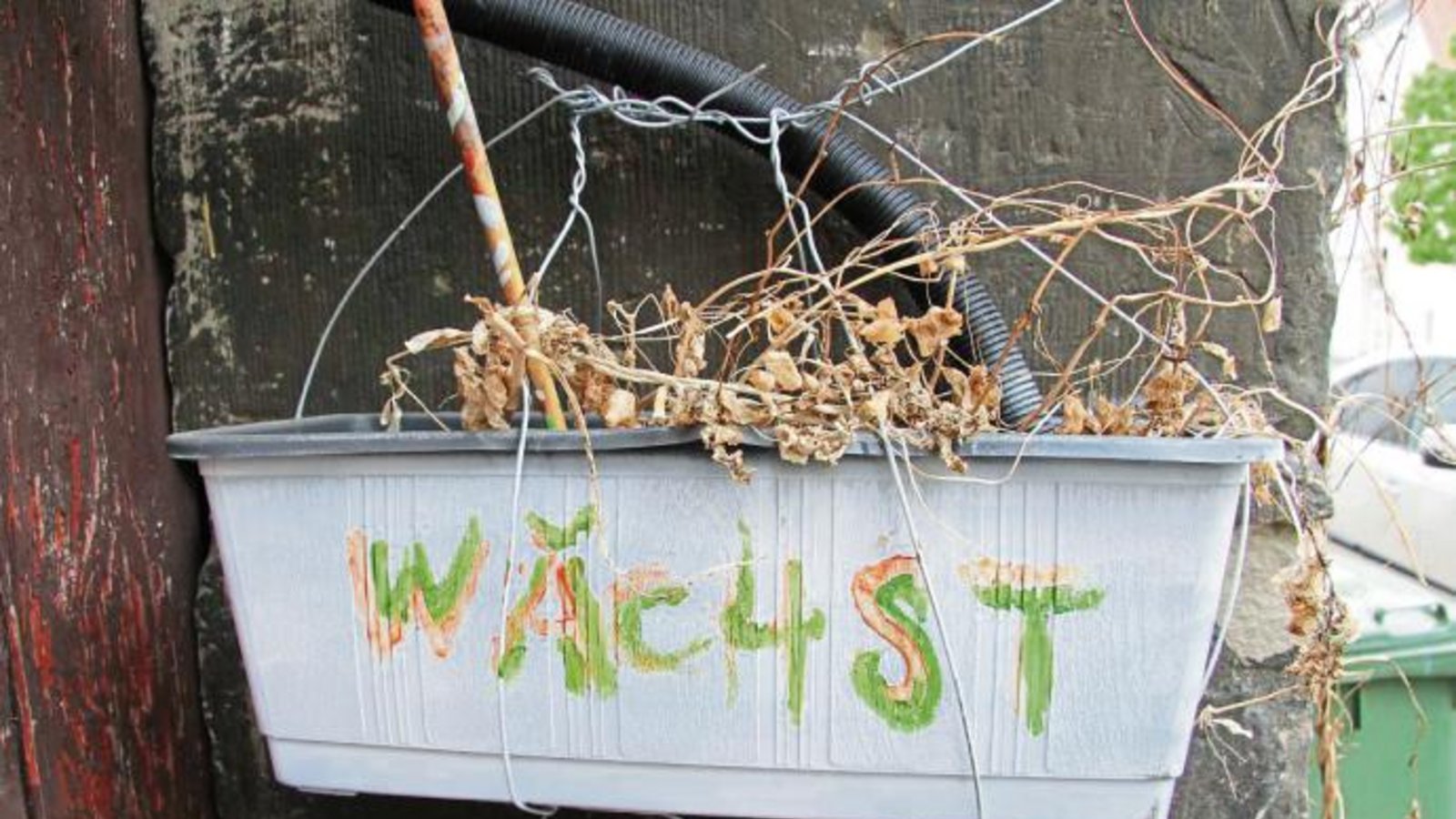 Die Aufschrift auf diesem Blumenkasten in der Vaihinger Grabenstraße zeugt offenbar von unerschütterlichem Optimismus. Foto: Banholzer Die Aufschrift auf diesem Blumenkasten in der Vaihinger Grabenstraße zeugt offenbar von unerschütterlichem Optimismus. Foto: Banholzer