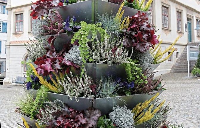 Dank der Stadtgärtner geht’s vor dem Vaihinger Rathaus bunt in den Herbst.  Foto: sr