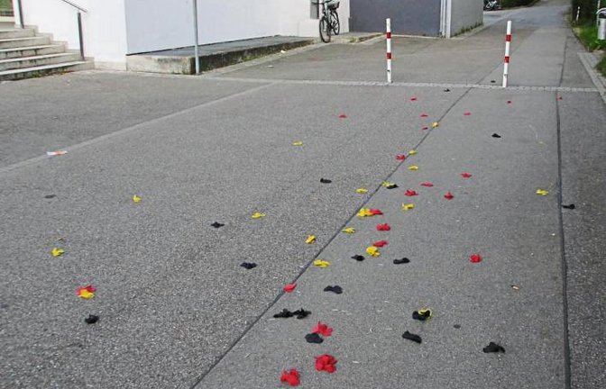 Ein paar Blüten in Schwarz, Rot und Gold vor der Vaihinger Stadthalle ist alles, was noch vom Public-Viewing des EM-Halbfinales übrig geblieben ist.  Foto: Braun