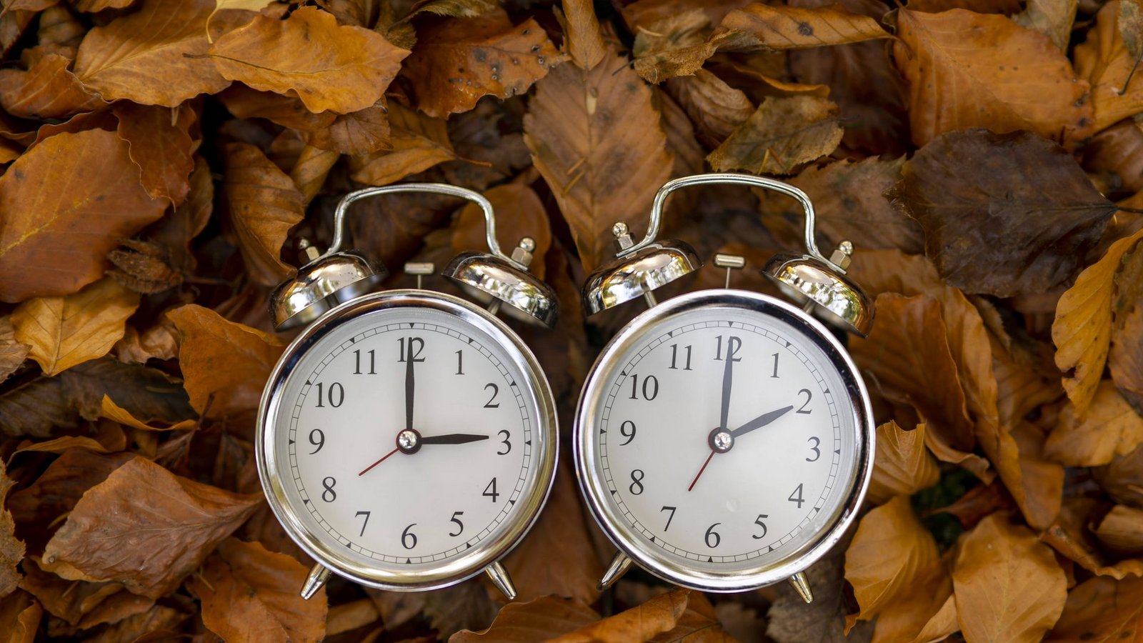 Der Herbst rückt näher – und damit auch die Umstellung zur Winterzeit.Foto: IMAGO/MiS/IMAGO Der Herbst rückt näher – und damit auch die Umstellung zur Winterzeit.Foto: IMAGO/MiS/IMAGO