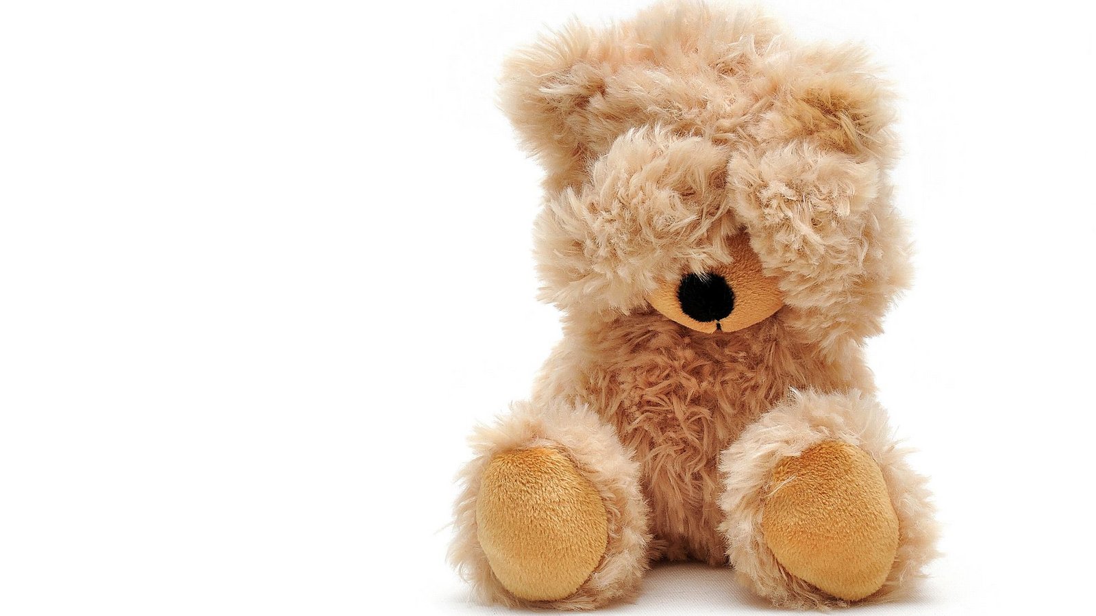 Das ist sogar dem Teddy unangenehm. Aber warum schämt er sich?Foto: &nbsp;