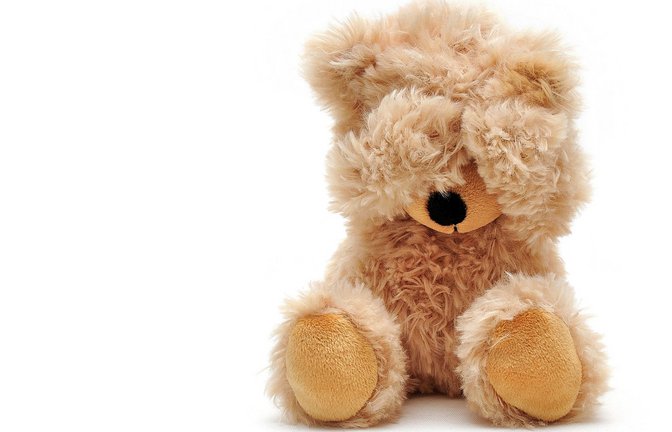 Das ist sogar dem Teddy unangenehm. Aber warum schämt er sich?<span class='image-autor'>Foto: &nbsp;</span>
