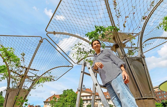 Rosa Pöttinger ist zurzeit mindestens jeden zweiten Tag bei den Ecotriis am Marienplatz in Stuttgart und schaut nach den Pflanzen. Sie müssten jetzt gut anwachsen, das sollte in den nächsten ein, zwei Wochen passieren.<span class='image-autor'>Foto: Lichtgut/Leif Piechowski</span>