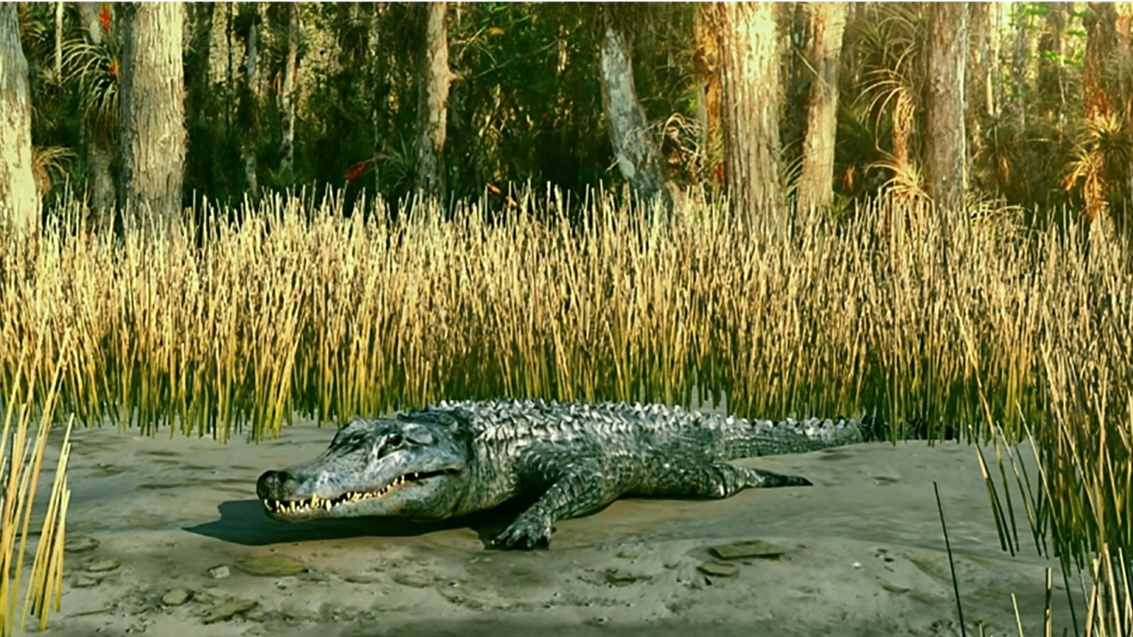 Rekonstruktion von Diplocynodon an der Küste von Hernals (heute Wien) vor 12,2 Millionen Jahre.Foto: © NHM Wien und 7reasons Rekonstruktion von Diplocynodon an der Küste von Hernals (heute Wien) vor 12,2 Millionen Jahre.Foto: © NHM Wien und 7reasons
