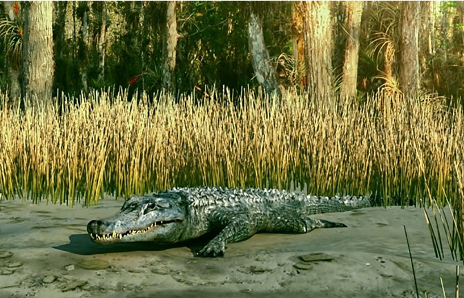 Rekonstruktion von Diplocynodon an der Küste von Hernals (heute Wien) vor 12,2 Millionen Jahre.<span class='image-autor'>Foto: © NHM Wien und 7reasons</span>