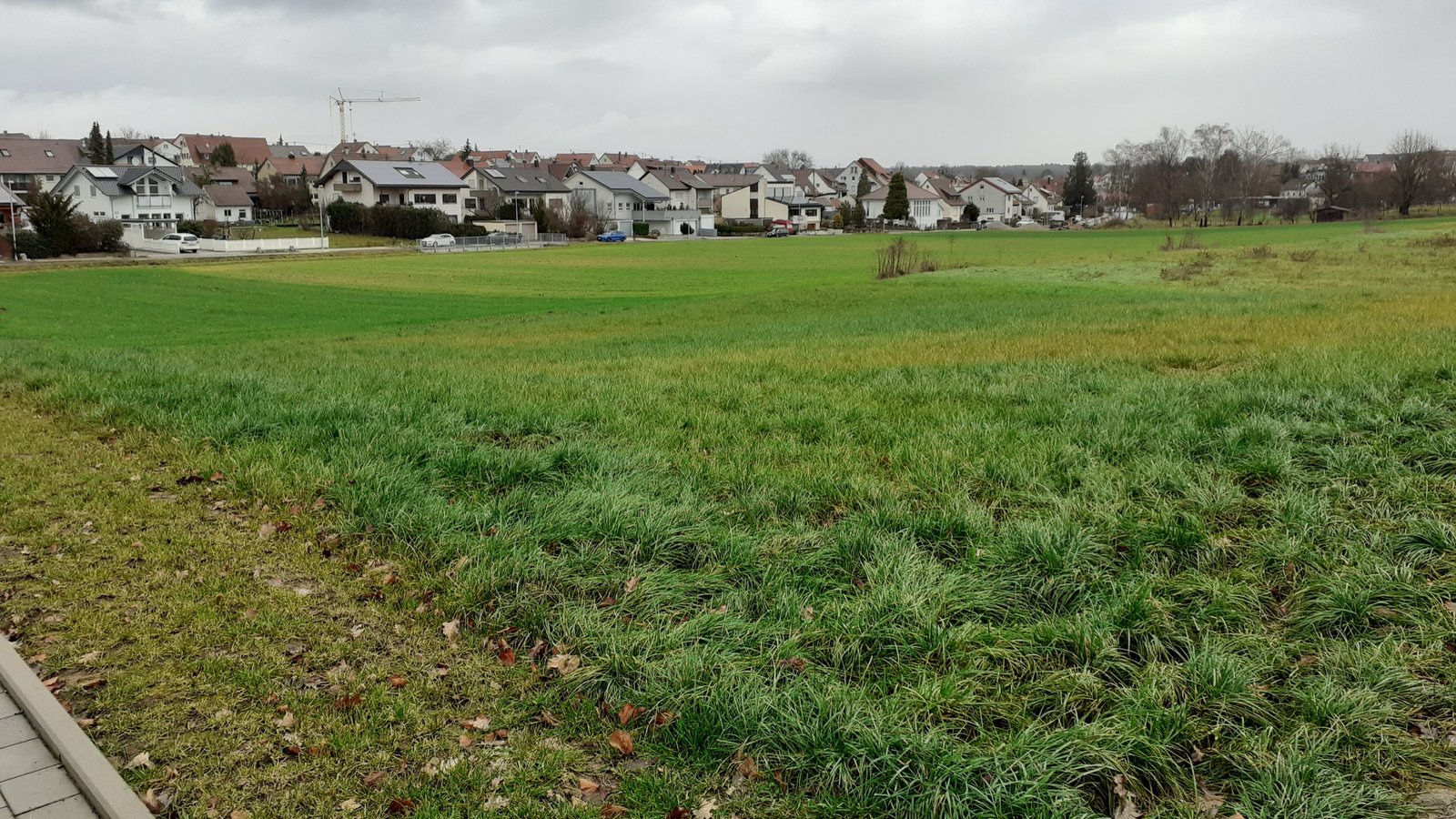 Das Neubaugebiet „Bonlanden“ in Sersheim. Foto: Glemser Das Neubaugebiet „Bonlanden“ in Sersheim. Foto: Glemser