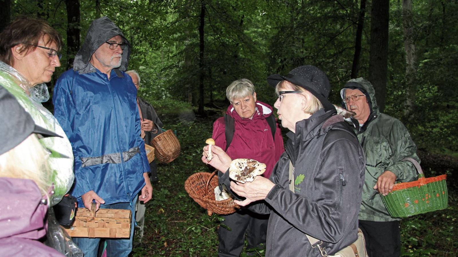 Essbar oder nicht? Naturparkführerin Ilse Schopper wusste zu jedem Pilz, den die Teilnehmer der Exkursion fanden, Wissenswertes zu erzählen. Fotos: Banholzer Essbar oder nicht? Naturparkführerin Ilse Schopper wusste zu jedem Pilz, den die Teilnehmer der Exkursion fanden, Wissenswertes zu erzählen. Fotos: Banholzer