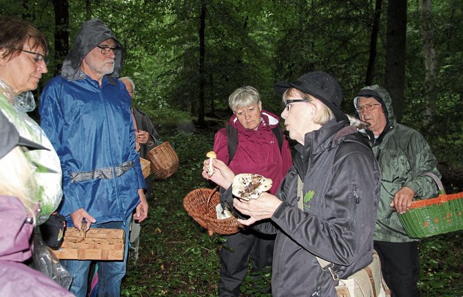 Essbar oder nicht? Naturparkführerin Ilse Schopper wusste zu jedem Pilz, den die Teilnehmer der Exkursion fanden, Wissenswertes zu erzählen.  Fotos: Banholzer
