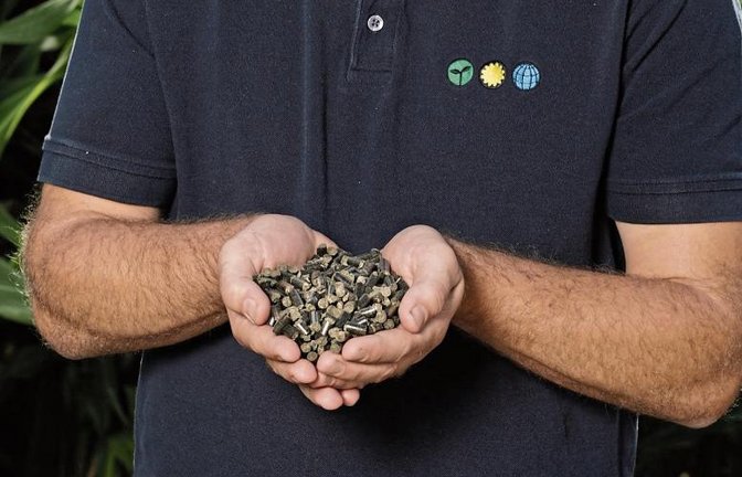 Thomas Gutjahr präsentiert die neuen Düngepellets. Fotos: Stahlfeld