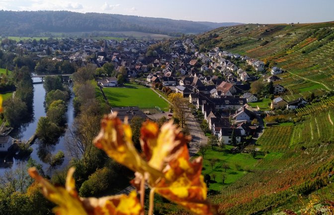 Immer wieder schön anzuschauen: die Steillagen bei Roßwag. Doch die Weinbauern haben es schwer. <span class='image-autor'>Fotos: Friedrich (2)/Küppers</span>