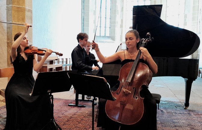 Die jungen Musiker ziehen das Publikum in ihren Bann.  <span class='image-autor'>Foto: Filitz</span>