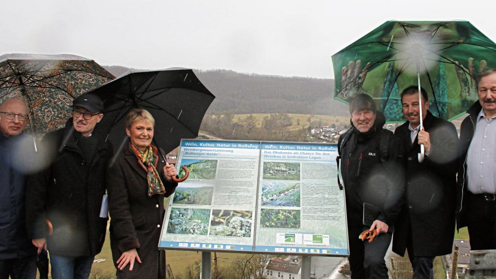 Infotafeln bei der Wiederherstellung der Weinbergmauern: von links Bernd Essig vom Heimatverein Backhäusle, Bernhard Kübler, Geschäftsführer der Landsiedlung, Staatssekretärin Friedlinde Gurr-Hirsch, die Landtagsabgeordneten Markus Rösler und Konrad Epple sowie Rolf Allmendinger, Vorstandsvorsitzender der Lembergerlandkellerei. Foto: Bögel
