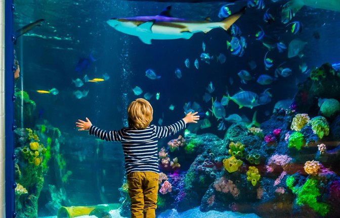 Der Langeweile bei schlechtem Wetter keine Chance geben.<span class='image-autor'>Foto: /Ulrich Perrey</span>