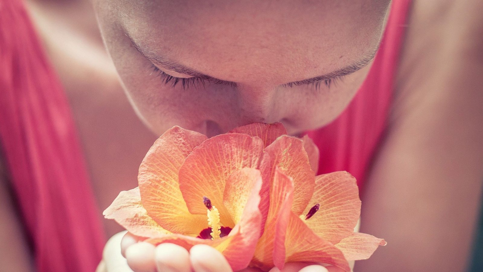 Sind wir olfaktorisch abgestumpft? Der Geruchssinn dient dem Menschen auch als Möglichkeit zur Orientierung.Foto: Unsplash/Andres Molina Sind wir olfaktorisch abgestumpft? Der Geruchssinn dient dem Menschen auch als Möglichkeit zur Orientierung.Foto: Unsplash/Andres Molina
