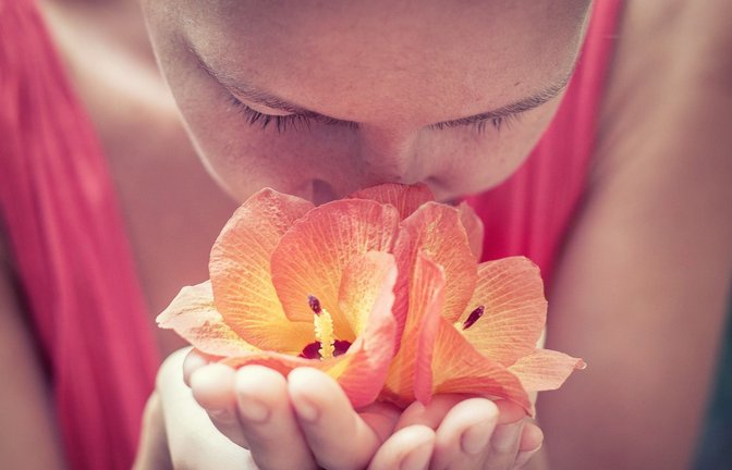 Sind wir olfaktorisch abgestumpft? Der Geruchssinn dient dem Menschen auch als Möglichkeit zur Orientierung.<span class='image-autor'>Foto: Unsplash/Andres Molina</span>