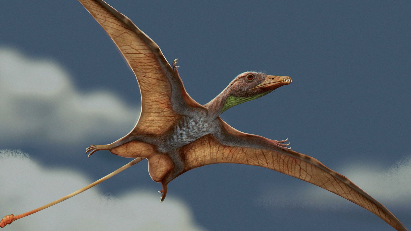 Flugsaurier waren vor mehr als 215 Millionen Jahren die ersten Lebewesen, die aktiv fliegen konnten, lange vor dem Auftreten der frühesten Vögel.Foto: Matheus Fernandes/Universität Tübingen Flugsaurier waren vor mehr als 215 Millionen Jahren die ersten Lebewesen, die aktiv fliegen konnten, lange vor dem Auftreten der frühesten Vögel.Foto: Matheus Fernandes/Universität Tübingen