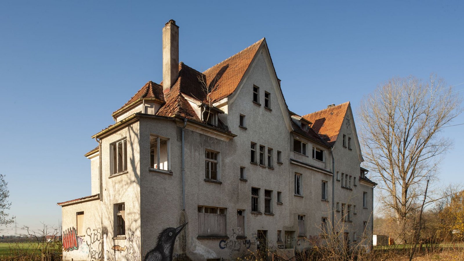 Seit dem Ende der Fabrik 1992 hausten nur noch Fledermäuse in den Gemäuern.Foto: Landesgartenschau Wangen im Allgäu/Christoph Morlok