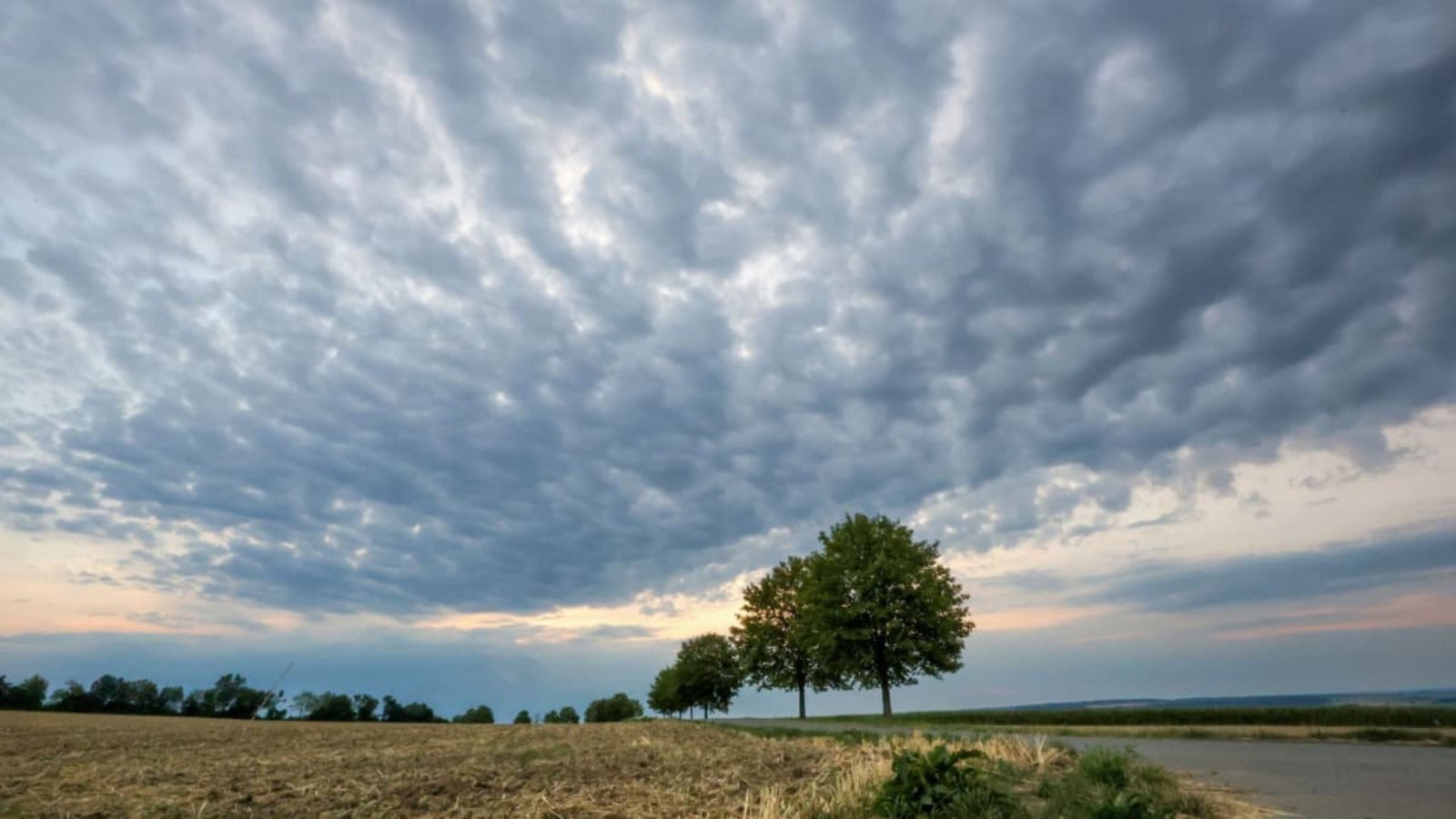 Regenwolken ziehen am Morgen auf. Nach wochenlangem Sonnenschein und viel Hitze startet die neue Woche in Baden-Württemberg mit eher wechselhaftem Wetter. (Symbolfoto)Thomas Warnack/dpa Regenwolken ziehen am Morgen auf. Nach wochenlangem Sonnenschein und viel Hitze startet die neue Woche in Baden-Württemberg mit eher wechselhaftem Wetter. (Symbolfoto)Thomas Warnack/dpa