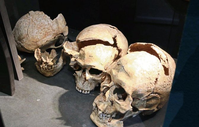 Zeugnisse eines grausamen Kampfereignisses bei Hessigheim. Fotos: Bögel