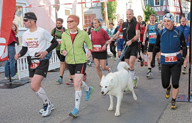 Der Start zum Stromberg-Extremlauf ist Geschichte. Aufgrund zu geringer Teilnehmerzahlen haben die Organisatoren alle Wettbewerbe des Kirbachtal-Laufs gestrichen. Foto: Archiv/Küppers