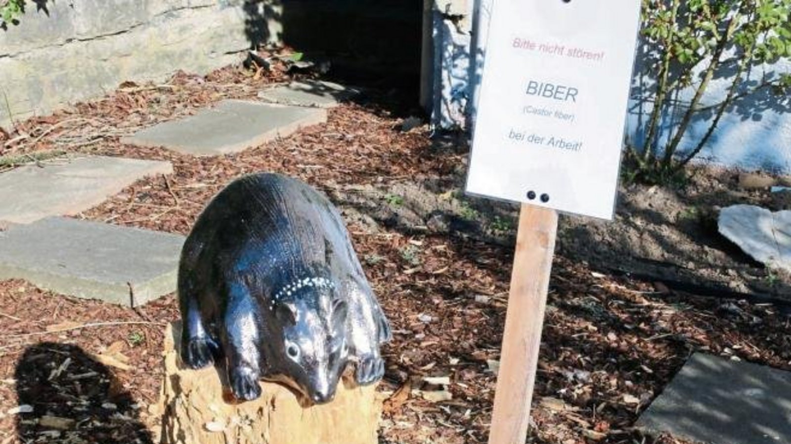 Biber bei der Arbeit – entdeckt in einem Vaihinger Vorgarten. Foto: Bögel