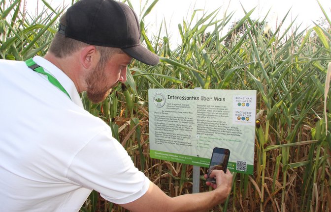 Sören Genthner von den Stadtwerken erklärt das Quiz und was es mit dem QR-Code auf den Tafeln auf sich hat. Per Smartphone gibt es dort nämlich zusätzliche Informationen.