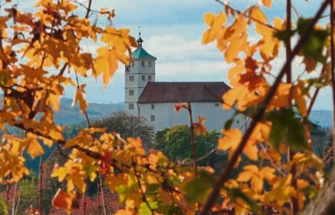 Durch das Herbstlaub: Vaihinger Schlossblick. Foto: Arning