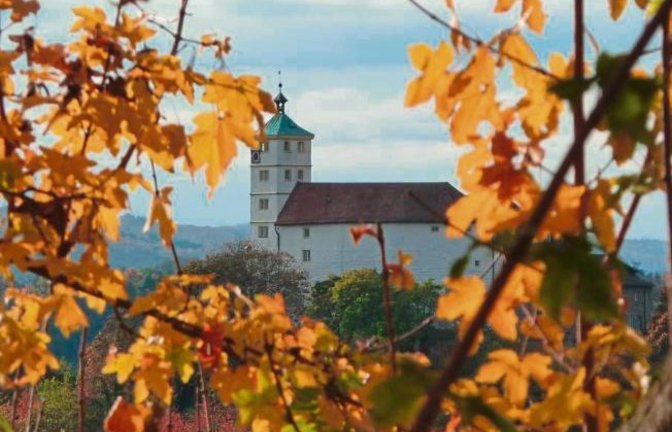 Durch das Herbstlaub: Vaihinger Schlossblick. Foto: Arning