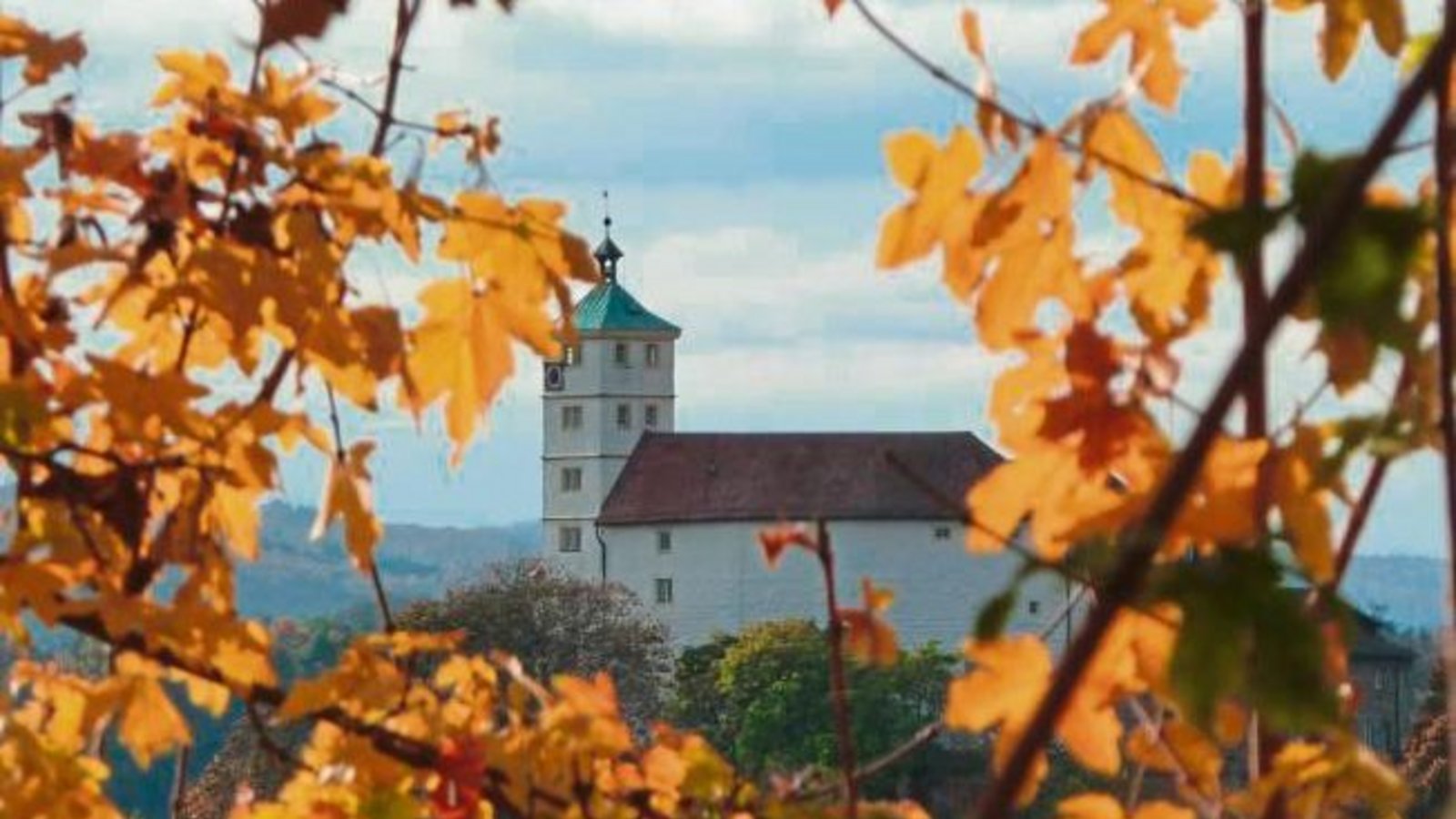 Durch das Herbstlaub: Vaihinger Schlossblick. Foto: Arning