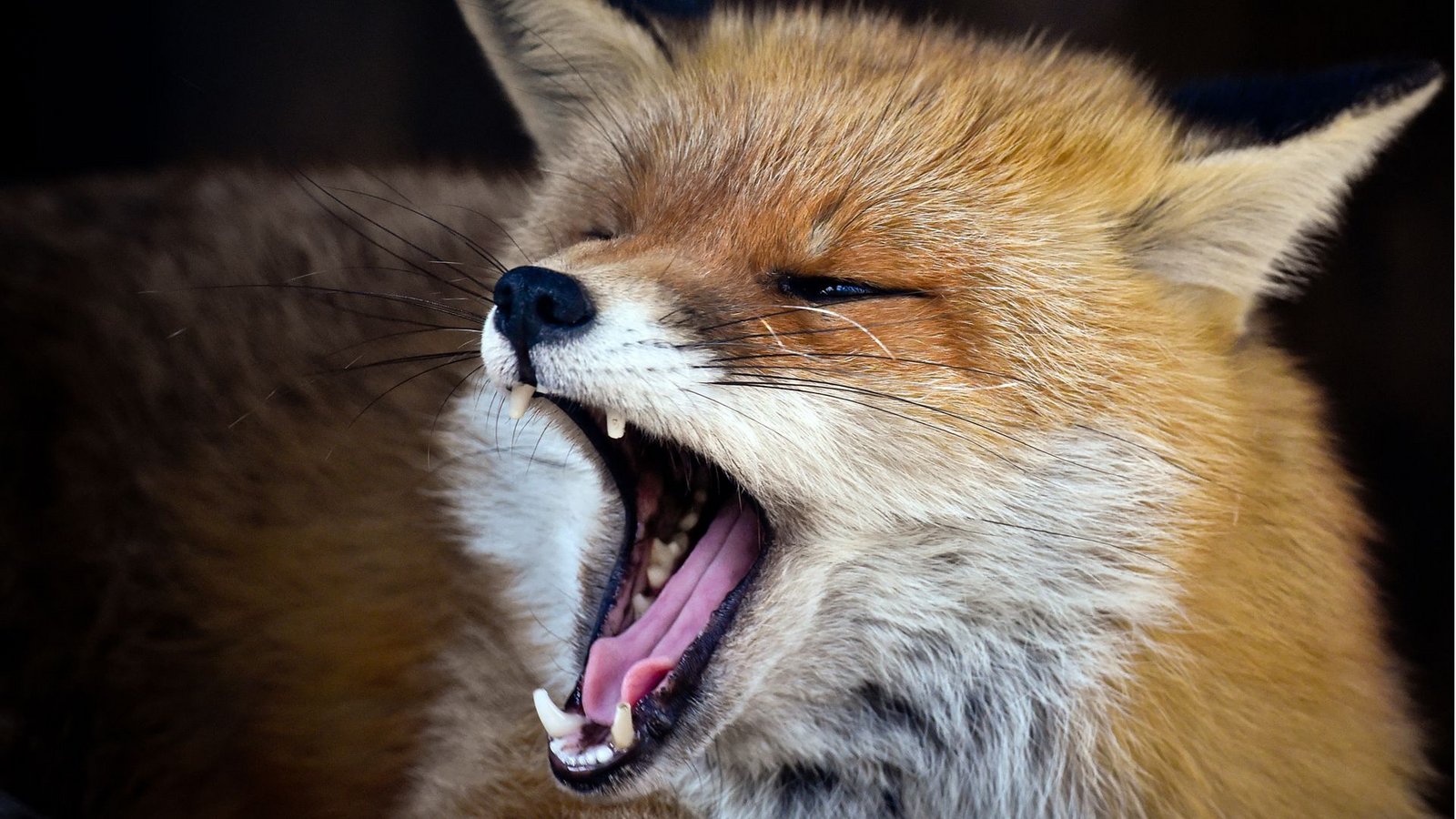 &nbsp;Foto: Patrick Pleul/dpa