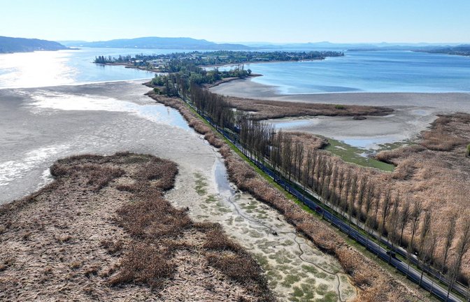Niedriger Pegelstand: Am Bodensee wird die gegenwärtige Trockenheit besonders deutlich<span class='image-autor'>Foto: dpa/Felix Kästle</span>