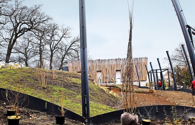 In der Amurtigeranlage haben die ersten Pflanzungen begonnen. Im Juli soll sie eingeweiht werden.Blick auf den Besuchertunnel in der Amurtigeranlage.<span class='image-autor'>Foto: Iris Frey</span>
