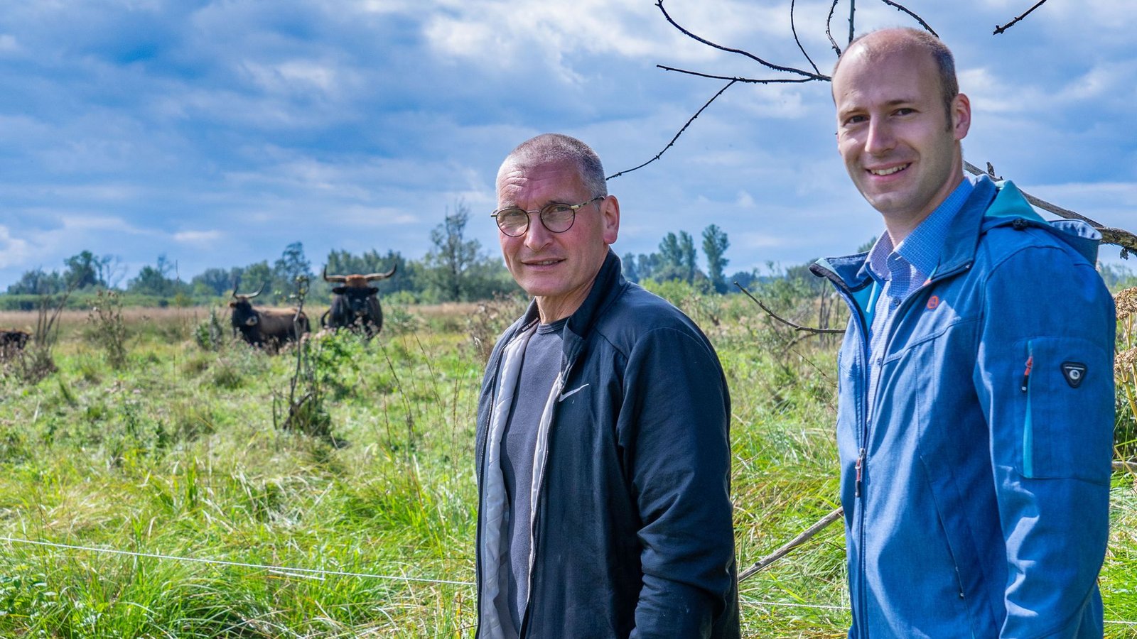 Naturschützer Roland Aigeltinger und Bürgermeister Christian Weber statten den eindrucksvollen Heckrindern im Langenauer Ried einen Besuch ab.Foto: Faltin Naturschützer Roland Aigeltinger und Bürgermeister Christian Weber statten den eindrucksvollen Heckrindern im Langenauer Ried einen Besuch ab.Foto: Faltin