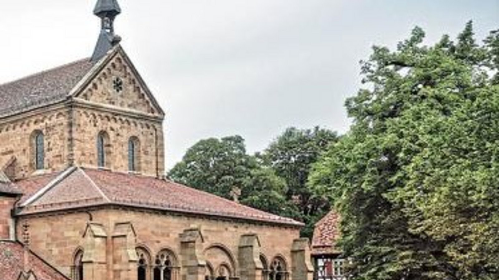 Rechts im Bild mit einer Bank am Stamm ist die Friedenslinde im Maulbronner Klosterhof zu sehen. Foto: SSG Rechts im Bild mit einer Bank am Stamm ist die Friedenslinde im Maulbronner Klosterhof zu sehen. Foto: SSG