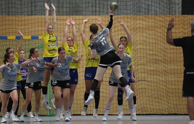 Bereits für den Saisonauftakt: Die Wildcats des SV Leonberg/Eltingen (in Gelb) im Testspiel gegen die HSG Strohgäu.<span class='image-autor'>Andreas Gorr</span>