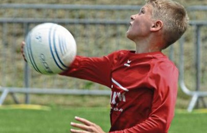 Das Ziel von Jan Staudenecker und den U-14-Faustballer des TV Vaihingen ist bei der württembergischen Meisterschaft der Halbfinaleinzug.  Foto: Archiv/Nachreiner
