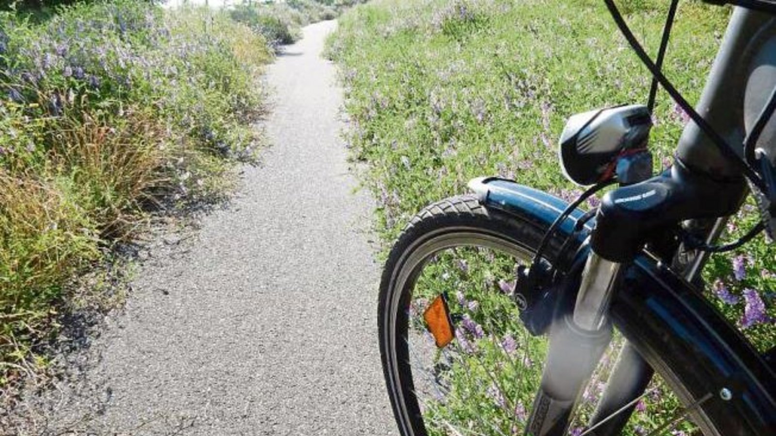 Grün ist zwar schön, aber der Radweg zwischen Ensingen und Illingen wird an der Abfahrt beim Gewerbegebiet Schweichling (bei der Bahnbrücke) immer enger. Foto: Arning Grün ist zwar schön, aber der Radweg zwischen Ensingen und Illingen wird an der Abfahrt beim Gewerbegebiet Schweichling (bei der Bahnbrücke) immer enger. Foto: Arning
