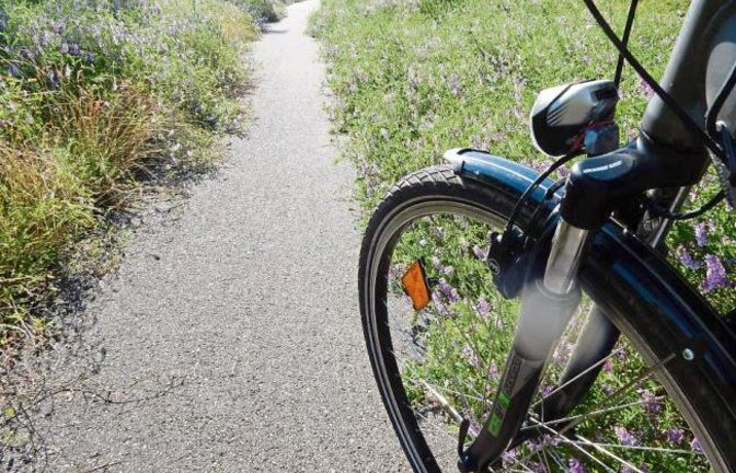 Grün ist zwar schön, aber der Radweg zwischen Ensingen und Illingen wird an der Abfahrt beim Gewerbegebiet Schweichling (bei der Bahnbrücke) immer enger.  Foto: Arning