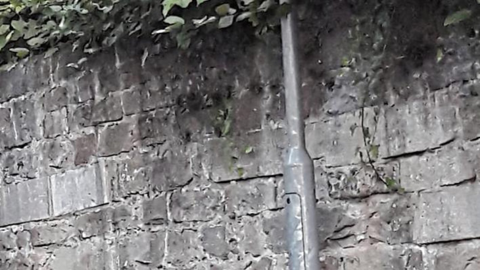 Diese Straßenmarkierung in Aurich ist eindeutig für die Katz’.  Foto: Rücker