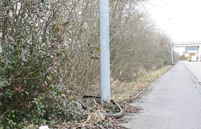Ein hoher Wurf oder Zauberei? Wie dieser Schlauch ans untere Ende der Kleinglattbacher Straßenlaterne kam, ist leider nicht bekannt.  Foto: Rostek