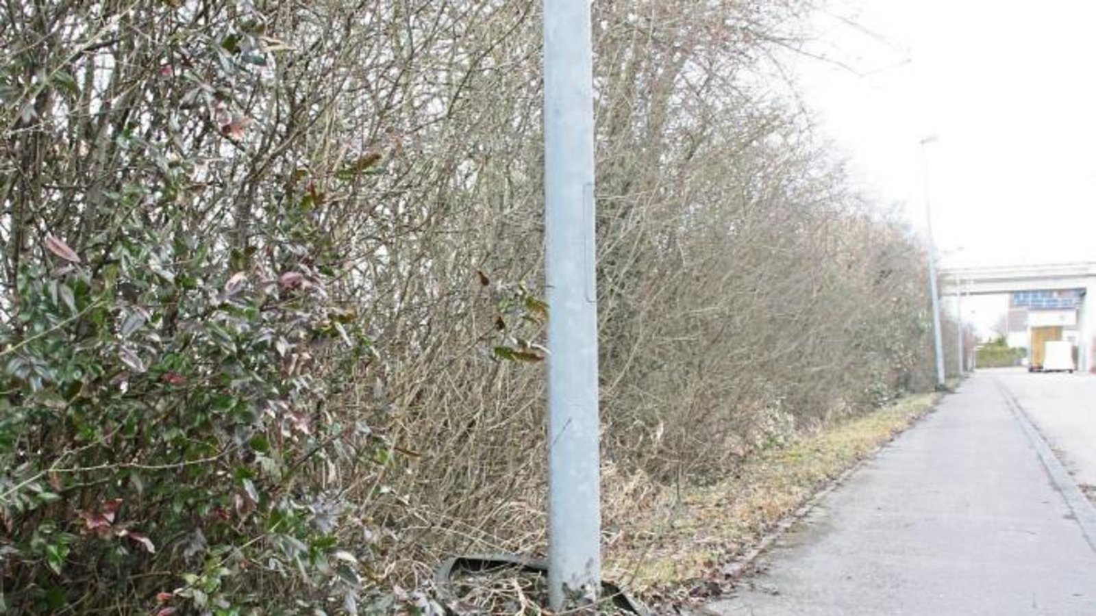Ein hoher Wurf oder Zauberei? Wie dieser Schlauch ans untere Ende der Kleinglattbacher Straßenlaterne kam, ist leider nicht bekannt. Foto: Rostek Ein hoher Wurf oder Zauberei? Wie dieser Schlauch ans untere Ende der Kleinglattbacher Straßenlaterne kam, ist leider nicht bekannt. Foto: Rostek